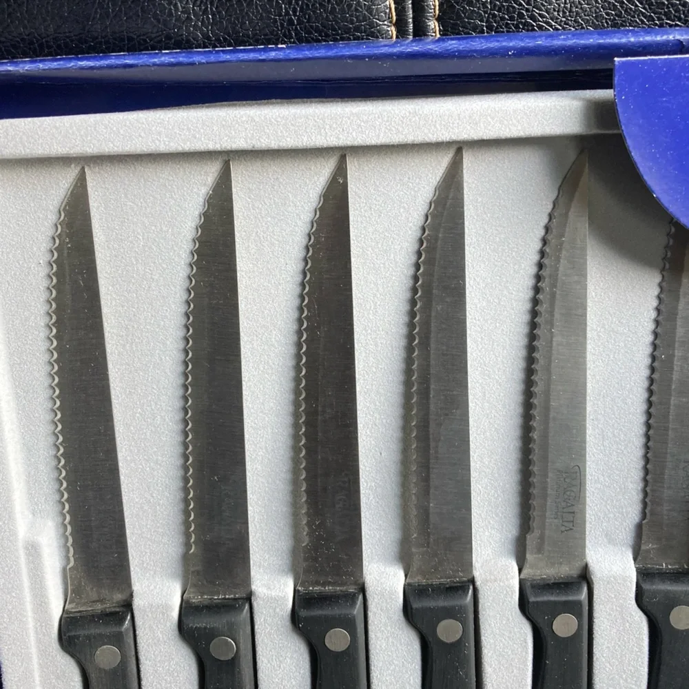 Ragalta Platinum Series 6 Piece Stainless Steel Deluxe Steak Knife Set
